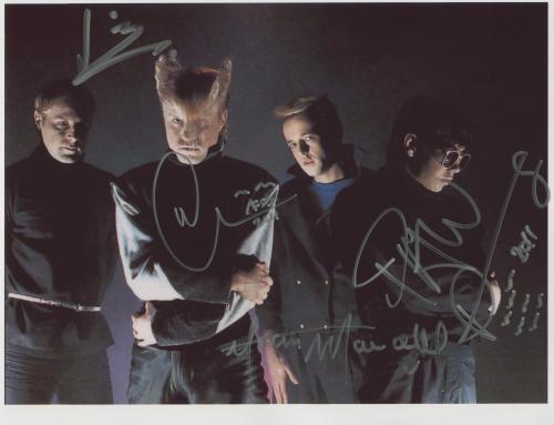 a flock of seagulls