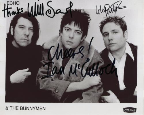 echo & the bunnymen