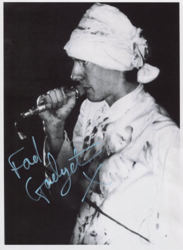 fad gadget