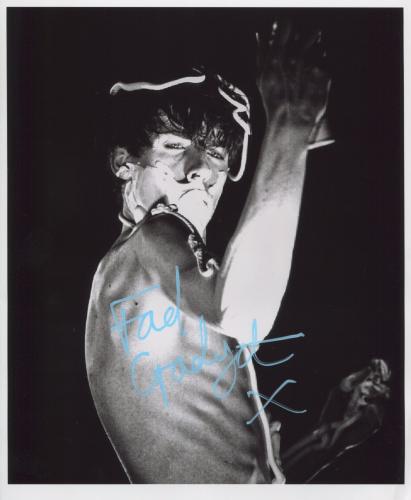 fad gadget