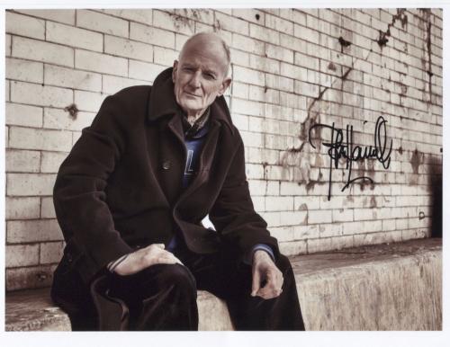 peter hammill