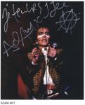 adam ant