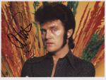alvin stardust