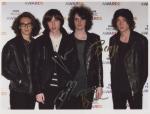 catfish and the bottlemen