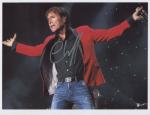 cliff richard the shadows