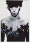 fad gadget