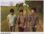 jonas brothers