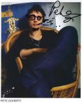 pete doherty