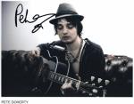 pete doherty