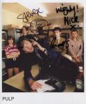 pulp