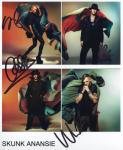 skunk anansie