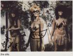 slits