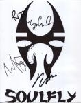soulfly