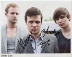 white lies