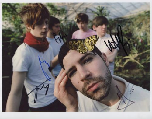 foals