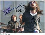 black crowes