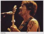 chris rea