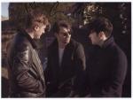 courteeners