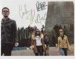 dandy warhols