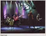 deep purple