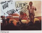 flaming lips