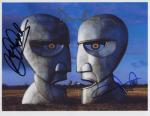 pink floyd