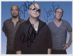 pixies
