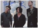 placebo