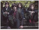 strypes