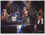 strypes