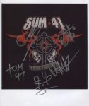 sum 41