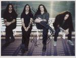 type o negative