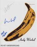 velvet underground
