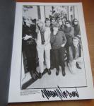 velvet underground