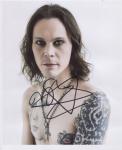 ville valo