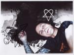 ville valo