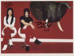 white stripes